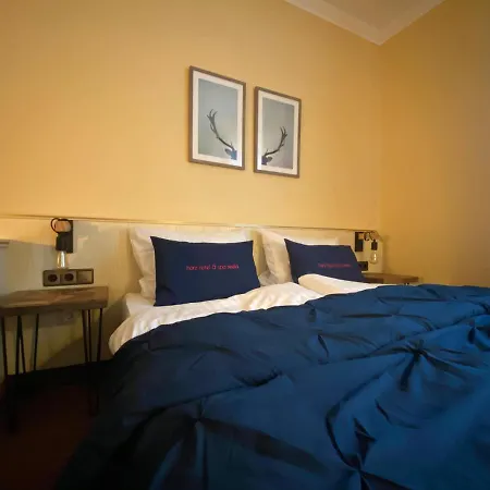 Hotel Harz Hotel&spa Seela Bad Harzburg