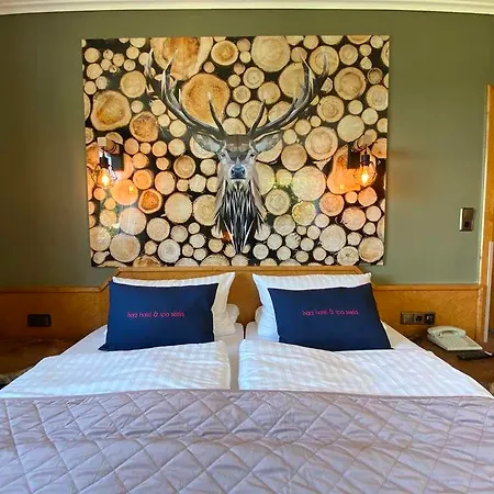 מלון Harz & Seela 4*