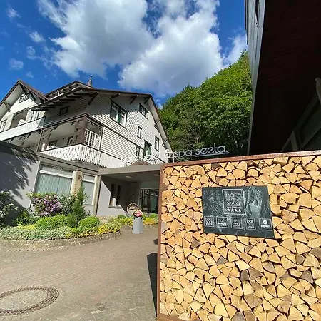 酒店 Harz & Seela