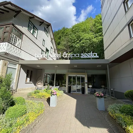 Harz & Seela 4* باد هازبرغ