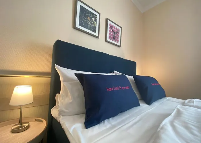 Hotel Harz & Seela 4*