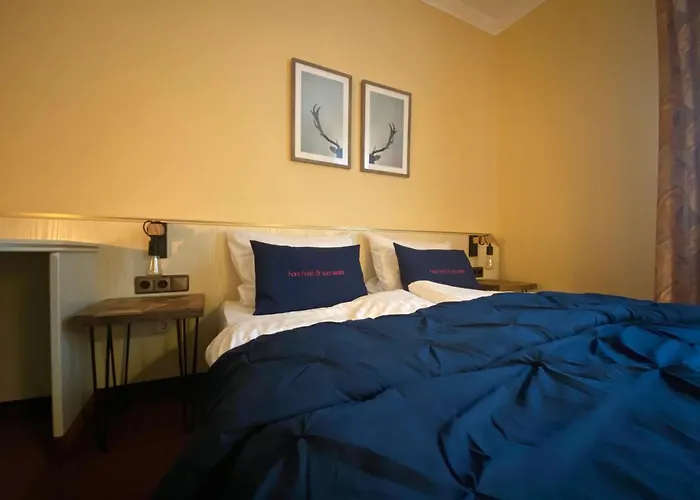 Hotel Harz & Seela Bad Harzburg