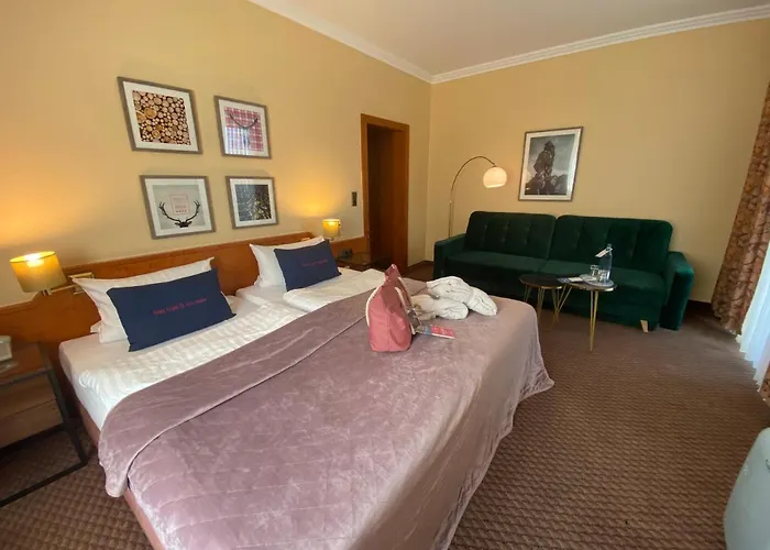 Hotel Harz & Seela Bad Harzburg