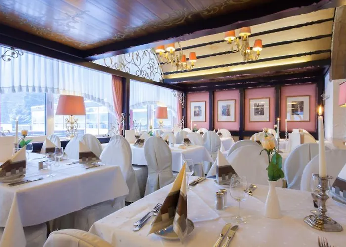 Hotel Harz & Seela Bad Harzburg