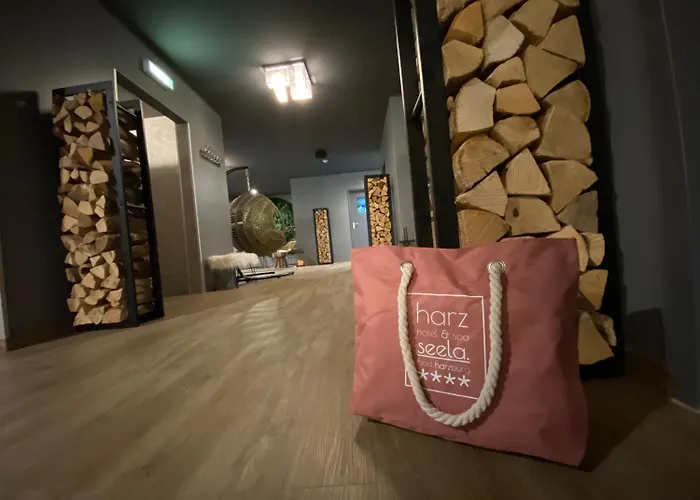 Hotel Harz & Seela Bad Harzburg