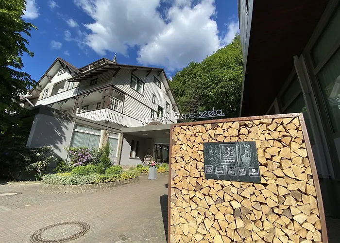 Harz & Seela Hotel 4*