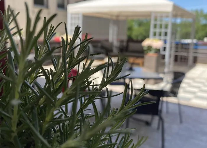 Hotel Harz & Seela Bad Harzburg