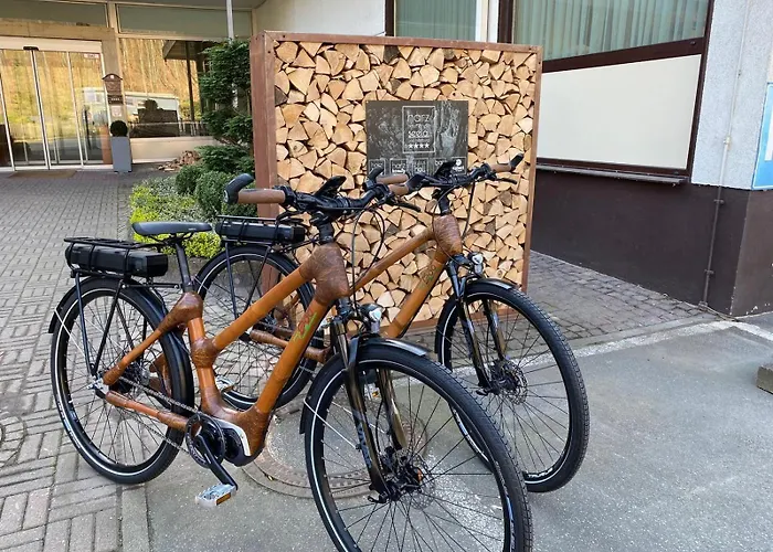 Hotel Harz & Seela Bad Harzburg